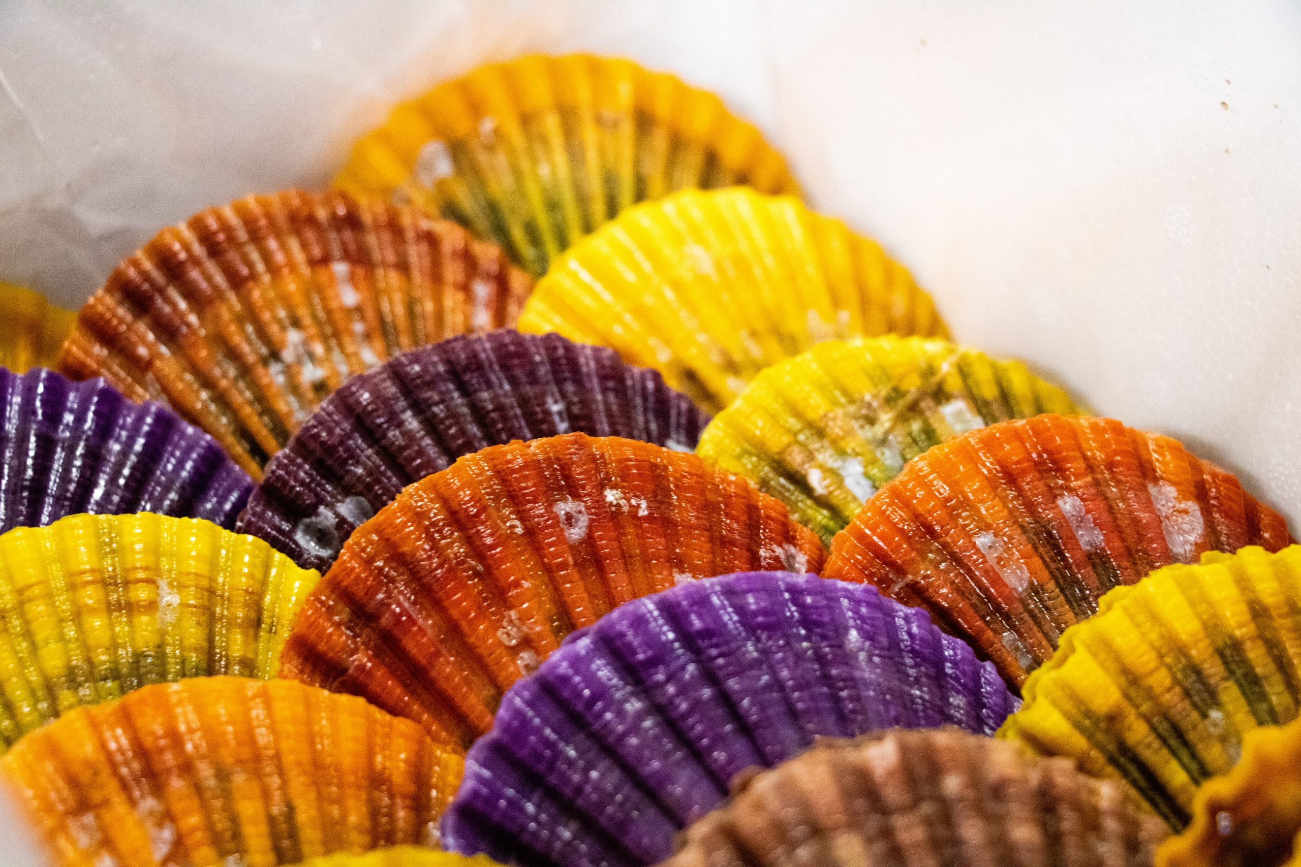 福島水産 株 あまくさ 苓北 観光協会 福島水産 株 あまくさ 苓北 観光協会